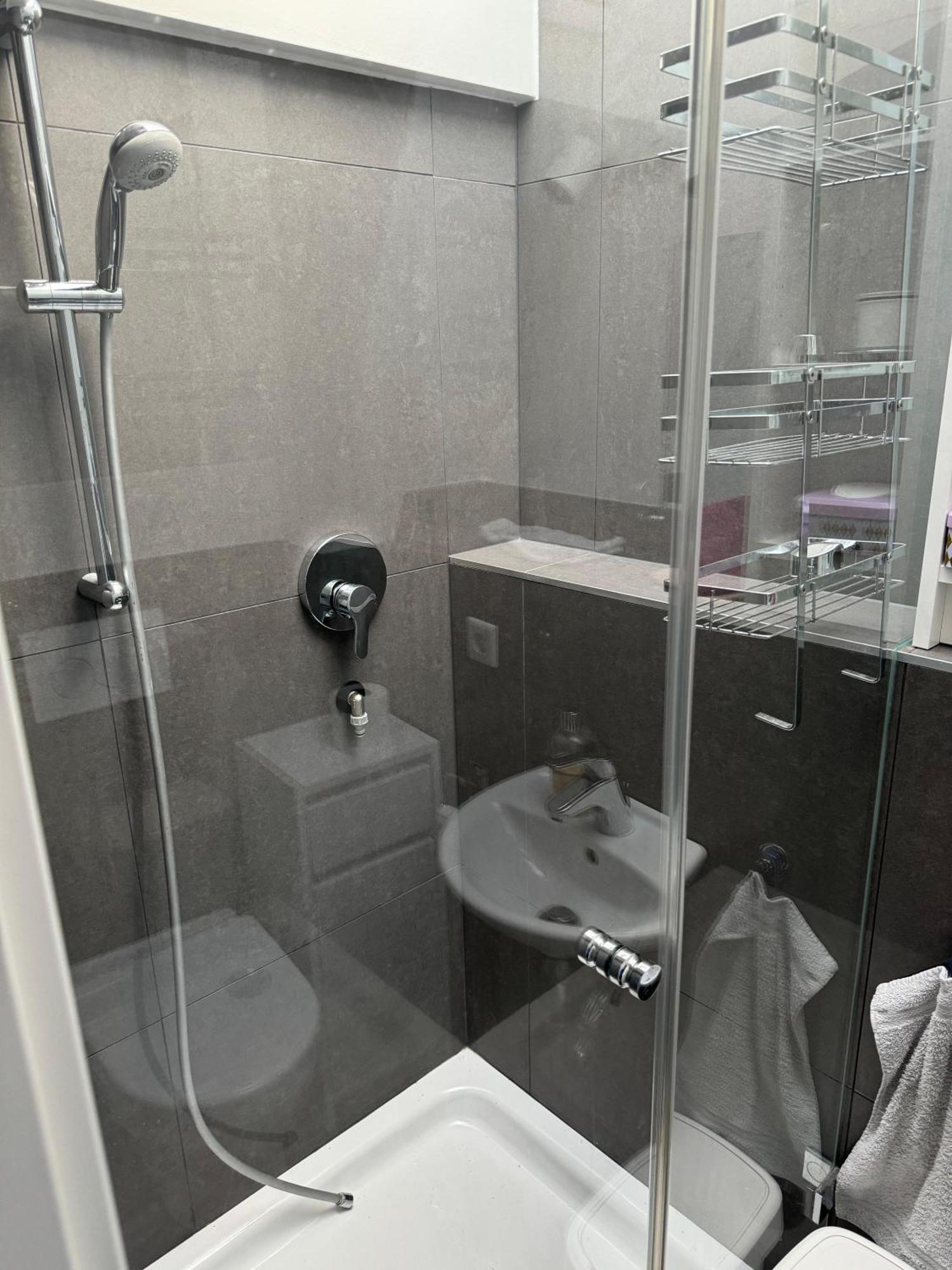 6 Zimmer Maisonette-Penthouse Pool Dachterrasse Luxus มิวนิก ภายนอก รูปภาพ