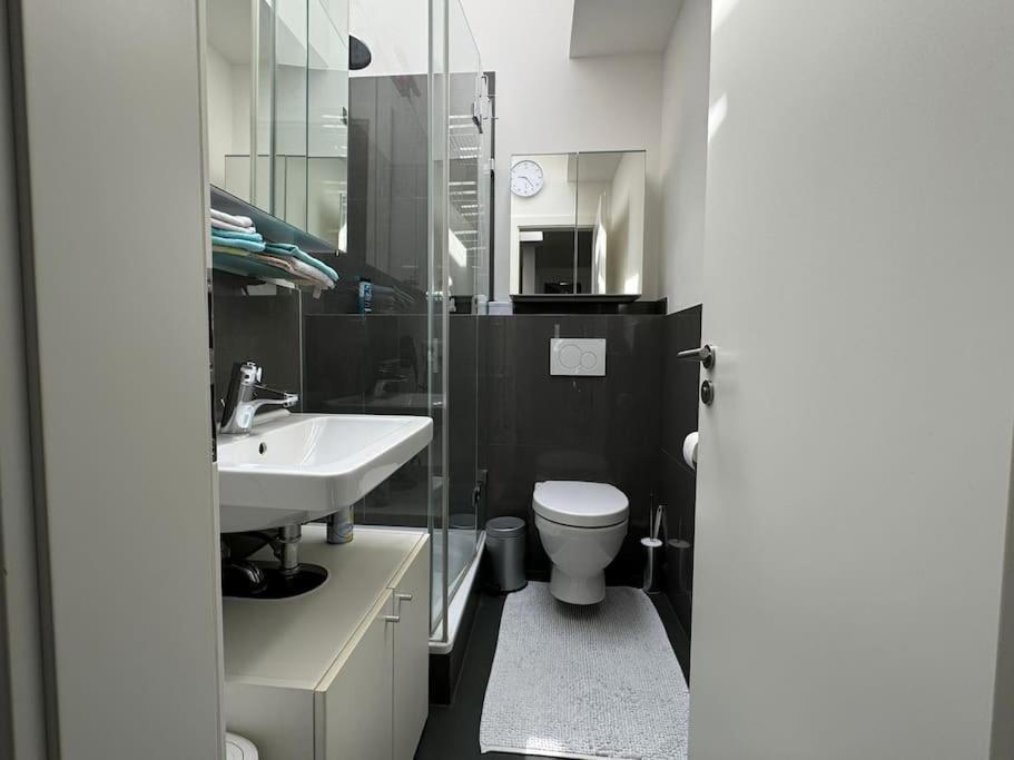 6 Zimmer Maisonette-Penthouse Pool Dachterrasse Luxus มิวนิก ภายนอก รูปภาพ